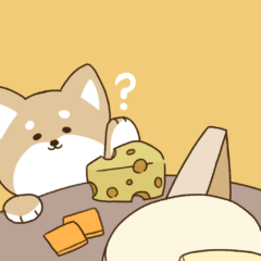 犬はチーズを食べてもいい?期待できる効果と与える際の注意点