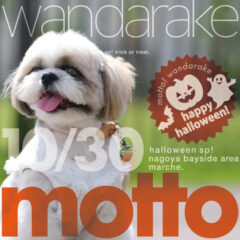 🎪Lakishop 10月30日(日) motto!wandarake 出店致します！🎉