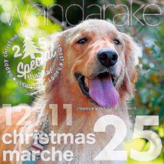 2022年12月11日(日)wandarakeわんだらけ25 出店致します🎪