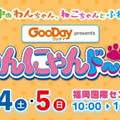 【2023年3月4日(土)～3月5日(日)】わんにゃんドーム福岡　出店致します🐶🎪🌟