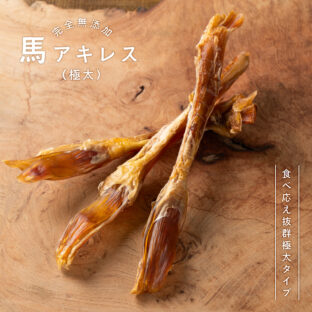 馬アキレス ロング極太