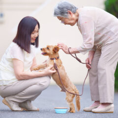 【犬と人、絆の歴史！】なぜあなたの犬はそんなに特別？感動の歴史を辿る！SEOに強い犬の豆知識