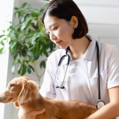 【獣医さんに聞く！】もっと知りたい！愛犬・愛猫の「去勢・避妊手術」のメリット・デメリットと適切な時期