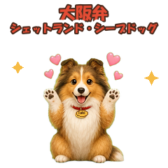 シェットランド・シープドッグの性格と特徴は?小型牧羊犬の賢さと繊細さをやさしく解説