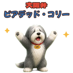 ビアデッド・コリーの性格と特徴は?長い被毛をなびかせる牧羊犬をやさしく解説