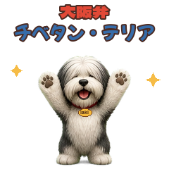 チベタン・テリアの性格と特徴は?名前はテリアでも伴侶犬をやさしく解説